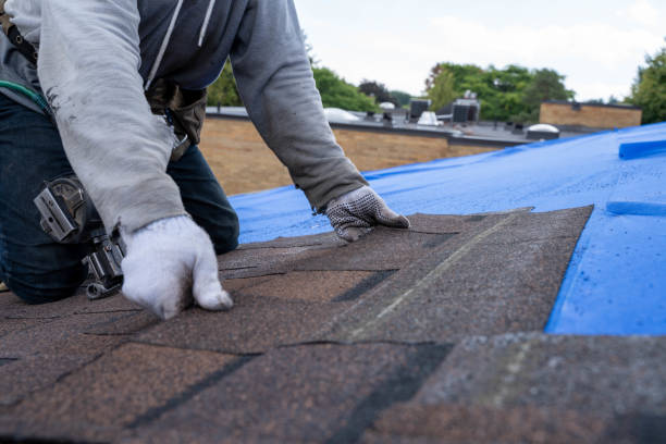Quick and Trustworthy Emergency Roof Repair Services in Waldorf, MD